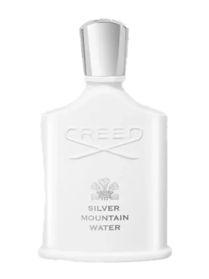 Silver Mountain Water 100ml